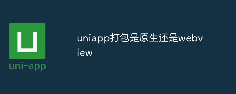 uniapp 패키징은 네이티브인가요 아니면 webview인가요?