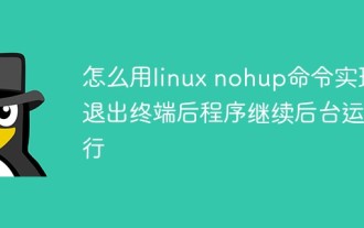 怎么用linux nohup命令实现退出终端后程序继续后台运行