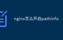 nginx怎么开启pathinfo
