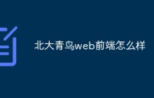 北大青鸟web前端怎么样