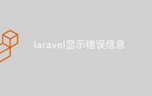 laravel显示错误信息