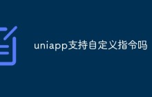 uniapp支持自定义指令吗