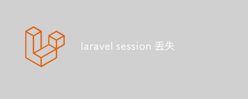 laravel session lost