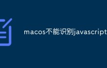 macos不能识别javascript