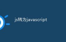 js转为javascript