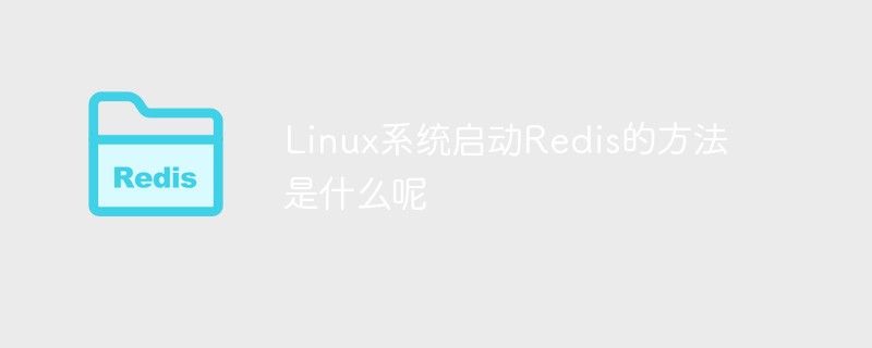 Linux 시스템에서 Redis를 시작하는 방법은 무엇입니까?