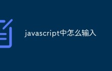 javascript中怎么输入