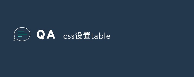 CSS 세트 테이블