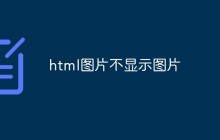 html图片不显示图片