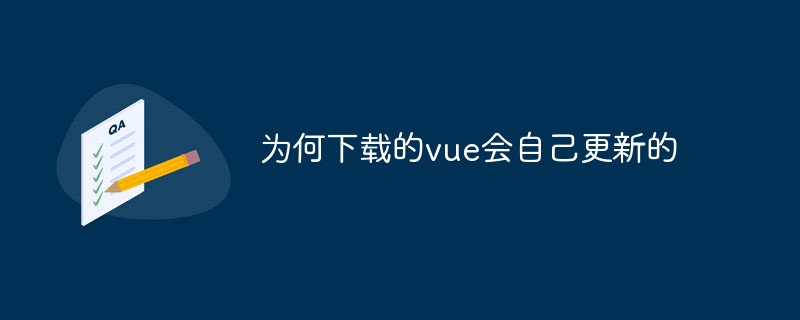 ダウンロードした vue が自動的に更新されるのはなぜですか?