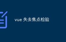 vue 失去焦点检验