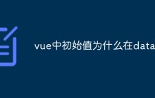 vue中初始值为什么在data里