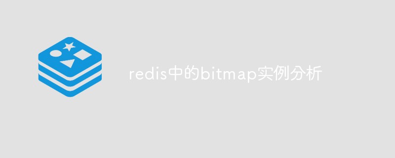 Analysis of bitmap examples in redis