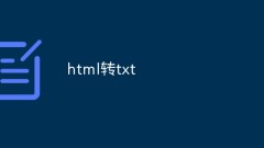 html to txt