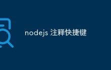 nodejs 注释快捷键