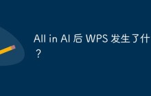 All in AI 后 WPS 发生了什么？