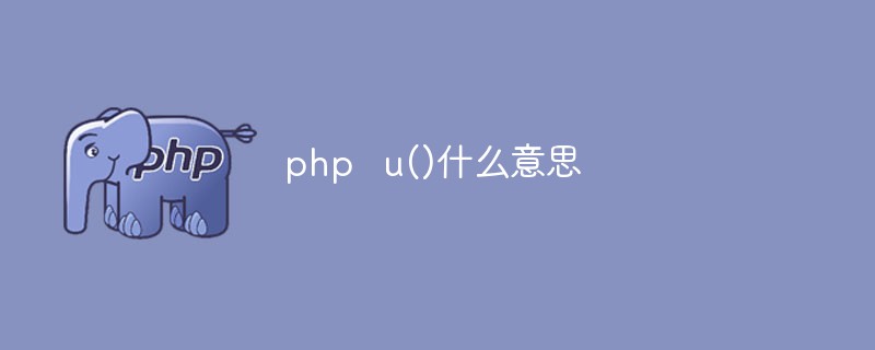 php u() 그게 무슨 뜻이에요?