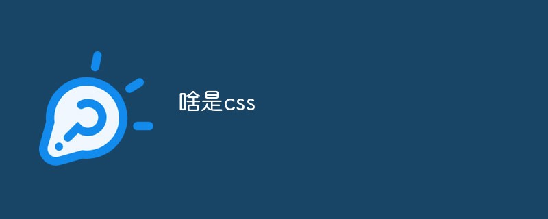 CSSとは何ですか