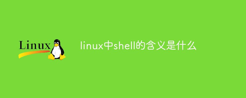 Was bedeutet Shell unter Linux?