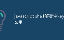 javascript sha1解密中key怎么用