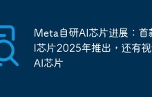 Meta自研AI芯片进展：首款AI芯片2025年推出，还有视频AI芯片