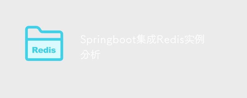 Springboot 통합 Redis 인스턴스 분석