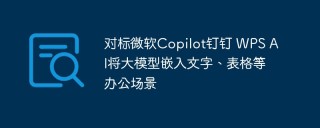对标微软Copilot钉钉 WPS AI将大模型嵌入文字、表格等办公场景
