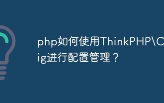 How to use ThinkPHP\Config for configuration management in php?