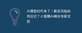 大模型时代来了！数安风险如何应对？小蛮腰AI峰会专家支招