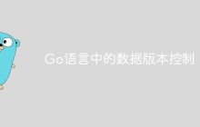 Go语言中的数据版本控制