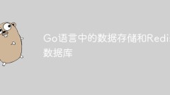 Go 언어의 데이터 저장 및 Redis 데이터베이스