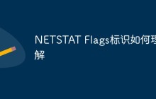 NETSTAT Flags标识如何理解