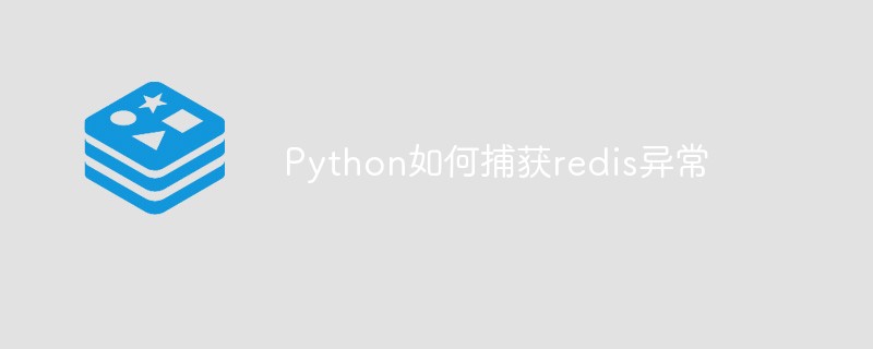 How to catch redis exception in Python