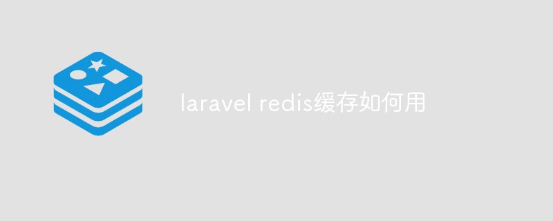 Comment utiliser le cache Redis de Laravel