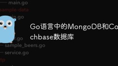 MongoDB and Couchbase database in Go language