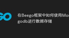 How to use Mongodb for data storage in Beego framework