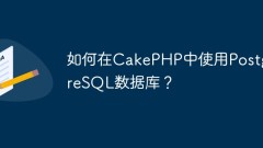 CakePHP와 함께 PostgreSQL 데이터베이스를 사용하는 방법은 무엇입니까?