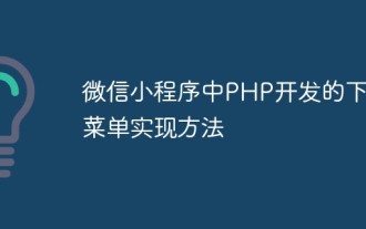 Méthode d'implémentation du menu déroulant développé en PHP dans l'applet WeChat