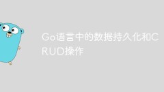 Data persistence and CRUD operations in Go language