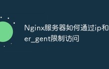 Nginx服务器如何通过ip和user_gent限制访问