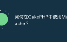 如何在CakePHP中使用Mustache？