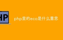 php里的echo是什么意思