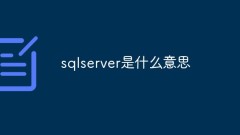 sqlserver은 무슨 뜻인가요?