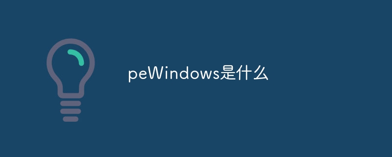 peWindowsとは何ですか