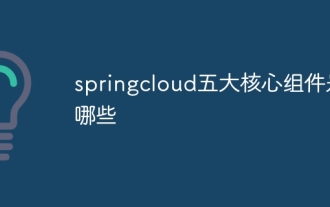 Was sind die fünf Kernkomponenten von Springcloud?