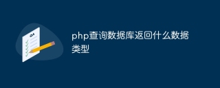 What data type does php query the database to return?