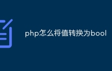 php怎么将值转换为bool