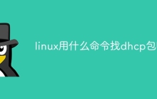 linux用什么命令找dhcp包啊