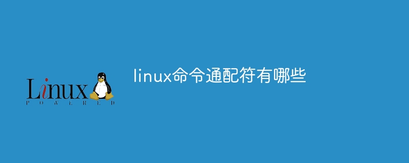 linux指令通配符有哪些