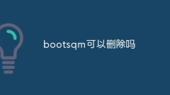 bootsqmは削除できますか?